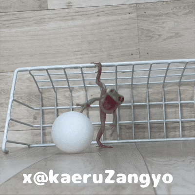 kaeruZangyo giphyupload soccer frog pk GIF