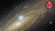 Star GIF by ESA/Hubble Space Telescope