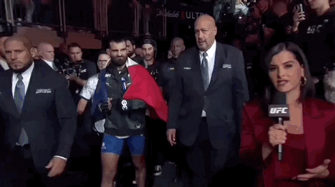 French Sport GIF by UFC