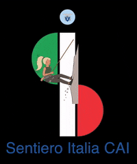 SearchGoItalia  GIF
