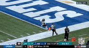 Football Sport GIF by NFL