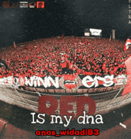 Ultra Morocco GIF