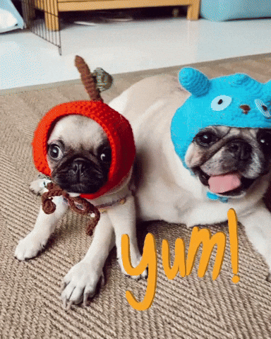 Pug Besties GIF