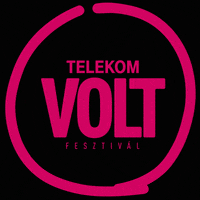 voltfesztival volt sopron voltfesztival volt2019 GIF
