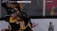 happy ice hockey GIF by NHL