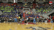 women's basketball GIF