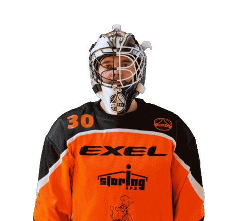 Floorball Muck Sticker by Český florbal