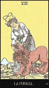 La Forza Strength GIF by Luna y el Tarot