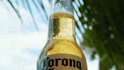 Beach Cerveza GIF by Corona