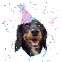 Happy Birthday Sticker