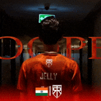 Team India GIF