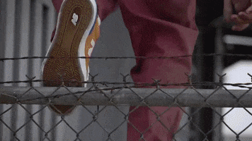 Skate Skateboarding GIF by New Balance Numeric