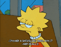 Season 1 GIF by The Simpsons