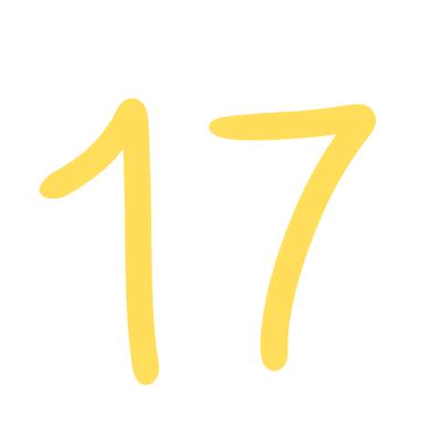 세븐틴 Diecisiete Sticker