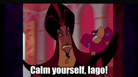 tjnee2085 aladdin jafar iago calm yourself iago GIF