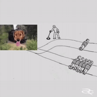 Dog Train GIF by Respective