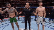 Mixed Martial Arts Sport GIF by UFC