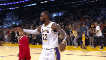 Excited Los Angeles GIF by NBA