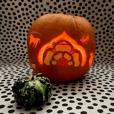 EnglandsNorth halloween pumpkin spinning bee GIF