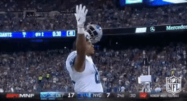 Detroit Lions Football GIF by NFL