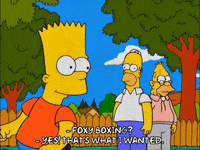 homer simpson GIF