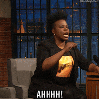 Seth Meyers Lol GIF by Late Night with Seth Meyers