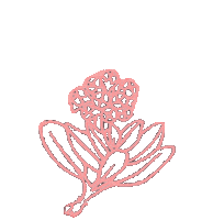 Aloha Blossom Sticker by MANAOLA Hawaii