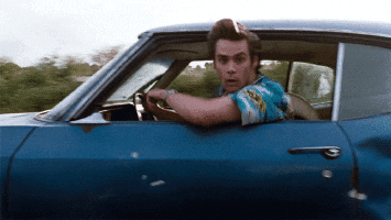 head someone GIF