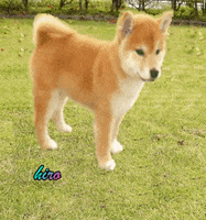 Tokyogirl GIF