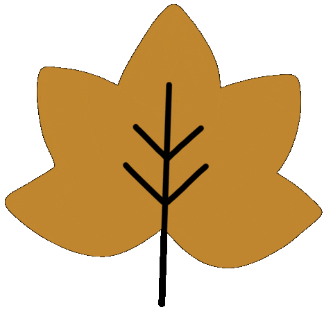 Kimsalabim_ fall autumn leaves herbst Sticker