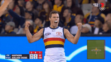 adelaidecrows goal reactions celebrations adelaide crows GIF