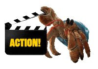 Ocean Life Animation Sticker by JoinZuzu