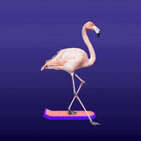 Fun Flying GIF by Guy Trefler