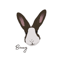 Bunny Rabbit Sticker