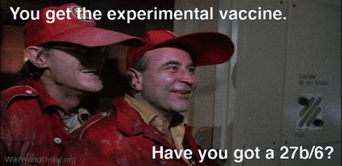 wikiworldorder giphyupload covid19 brazil consent GIF