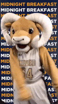 studentssu shepherduniversity GIF
