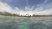 SeaSoilution beach ocean sea sustainability GIF