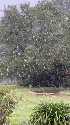 Snow Falls Across Australian Town of Crookwell as Floods Hit Other Parts of the State