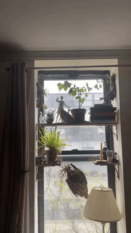 Artemistest GIF by testupload