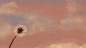 marisa_martin sunset wind peaceful wish GIF