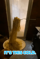 Forkful of Spaghetti Freezes Mid-Air