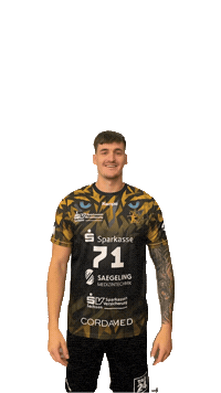 Bundesliga Handball Sticker by hcelbflorenz