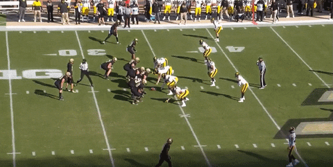theriotreport giphyupload GIF