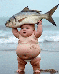 Baby Fish GIF