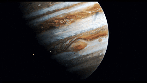 GIF by Signature Entertainment