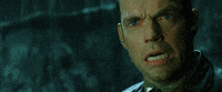 girls guy GIF