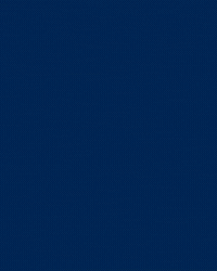 Football Soccer GIF by FC Zürich