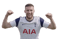 London Football Sticker by Tottenham Hotspur