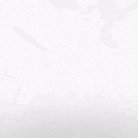 Hockey Home GIF by Eisbären Berlin