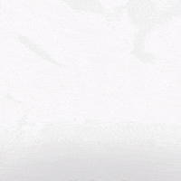 Hockey Home GIF by Eisbären Berlin